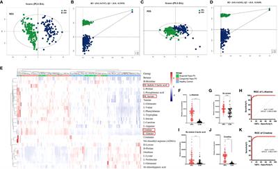 Proteomic and metabolomic analysis of GH deficiency-induced NAFLD in hypopituitarism: insights into oxidative stress